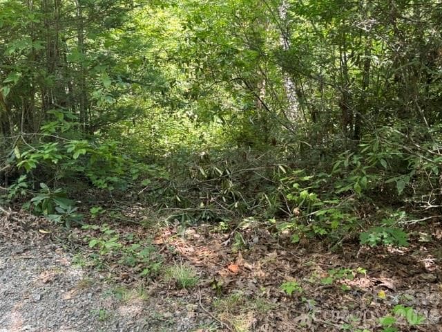 Lot at TBD Jarvis Drive, Hendersonville, photo 3 of 6