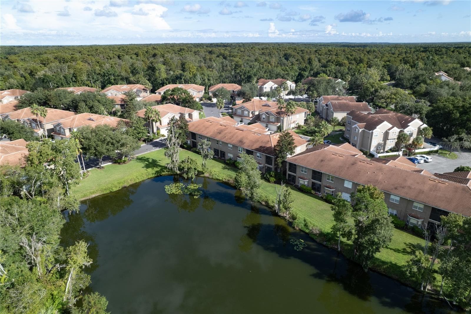 POND VIEW OF THE BACK YARD - 4961 ANNISTON CIR, TAMPA
