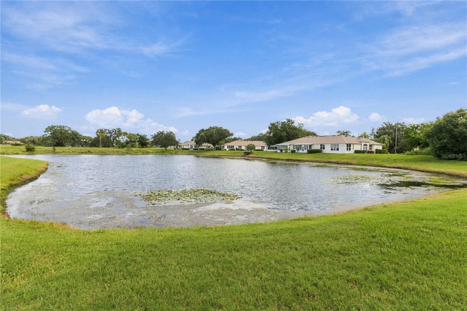 Direct views of the pond from the home - 1002 NICENE CT #47, SUN CITY CENTER