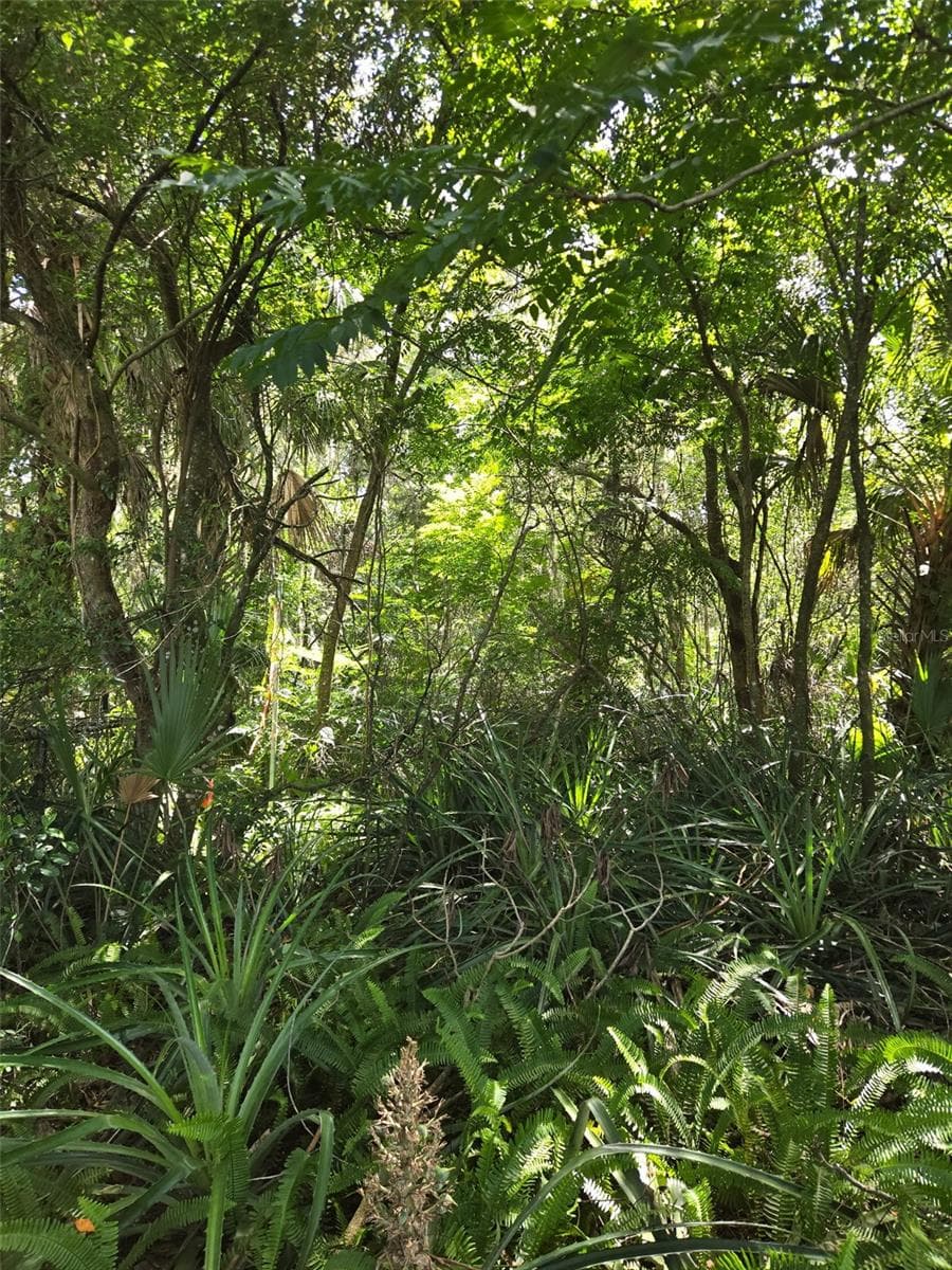 Land at DUTTON AVE, DELAND, photo 3 of 6