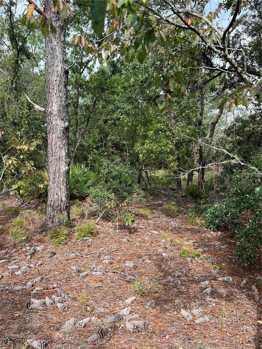 Land at 1830 W STANTON DR, DUNNELLON, photo 8 of 11