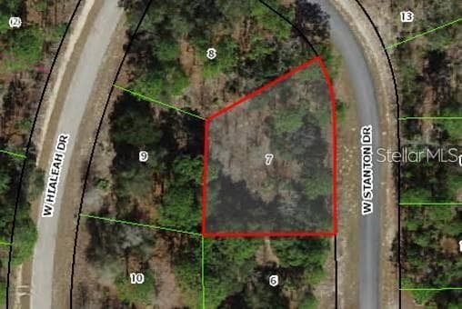 Land at 1830 W STANTON DR, DUNNELLON, photo 9 of 11