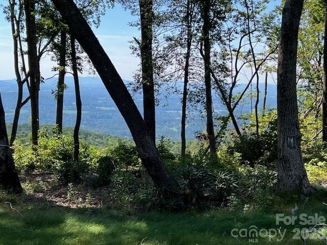 Lot at 462 E Garden Trail, Hendersonville, photo 12 of 23