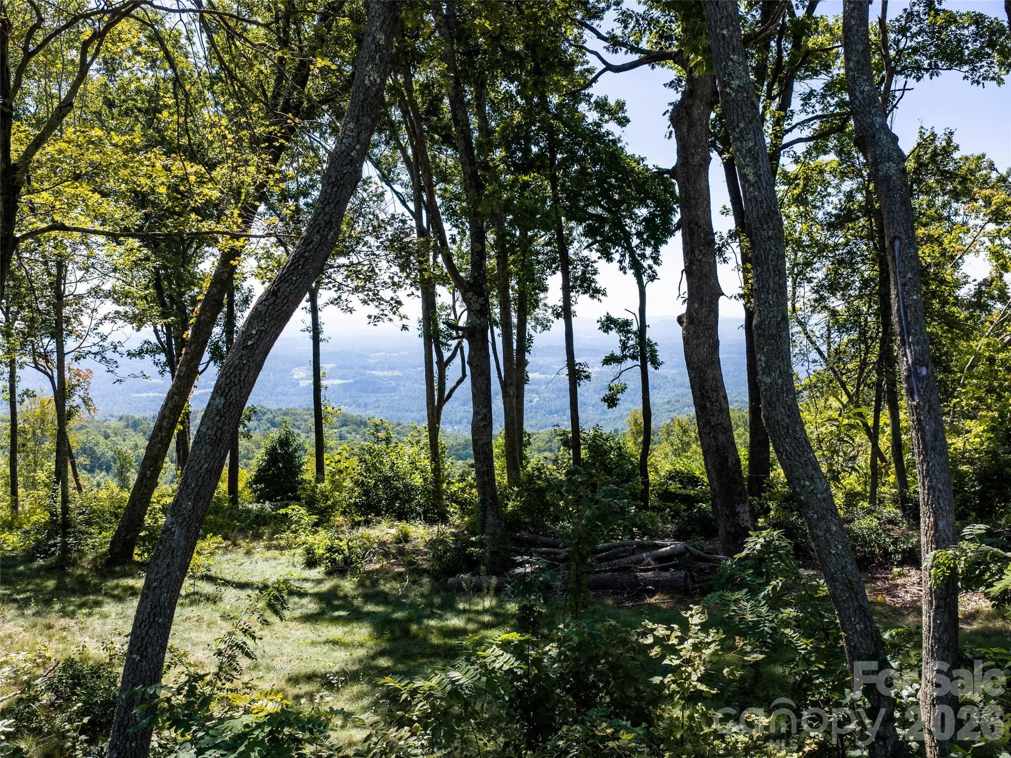 Lot at 462 E Garden Trail, Hendersonville, photo 16 of 23