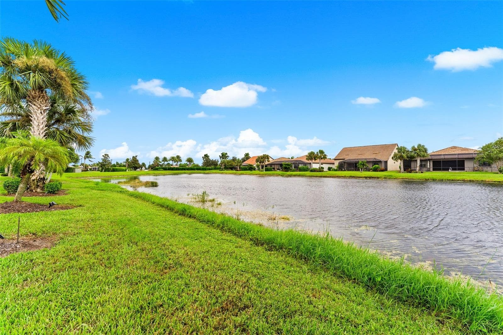Peaceful backyard - 13825 KARINA ST, VENICE