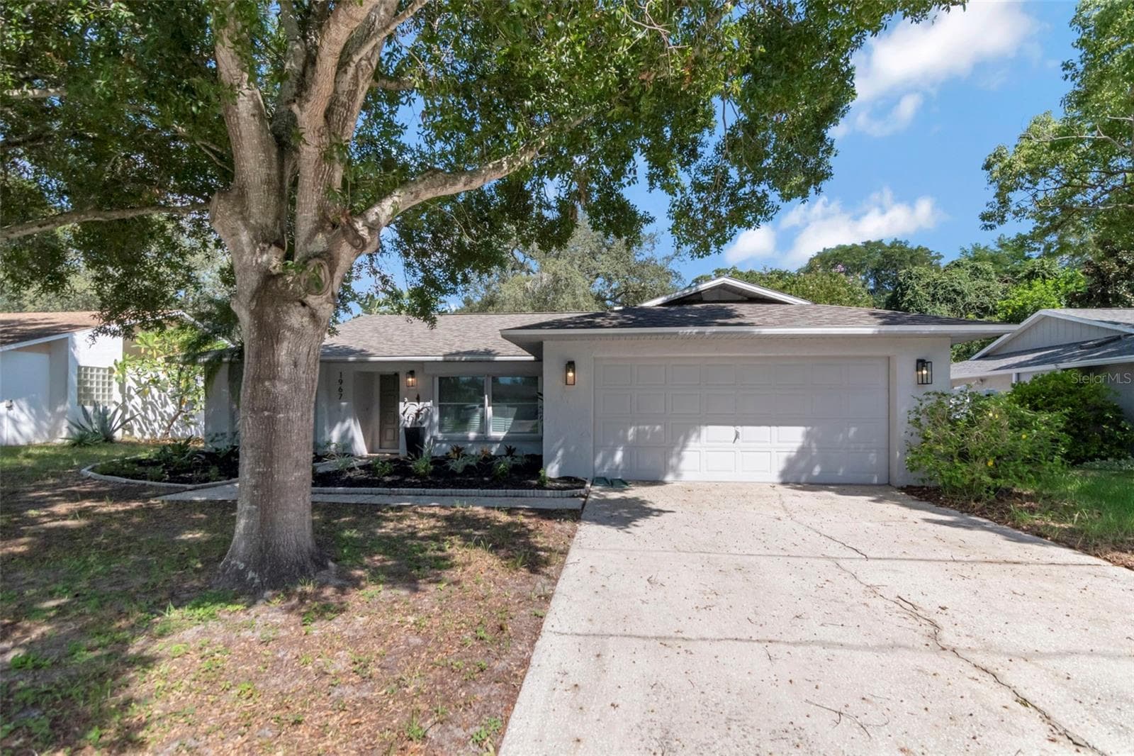 Front View - 1967 BECKETT LAKE DR, CLEARWATER