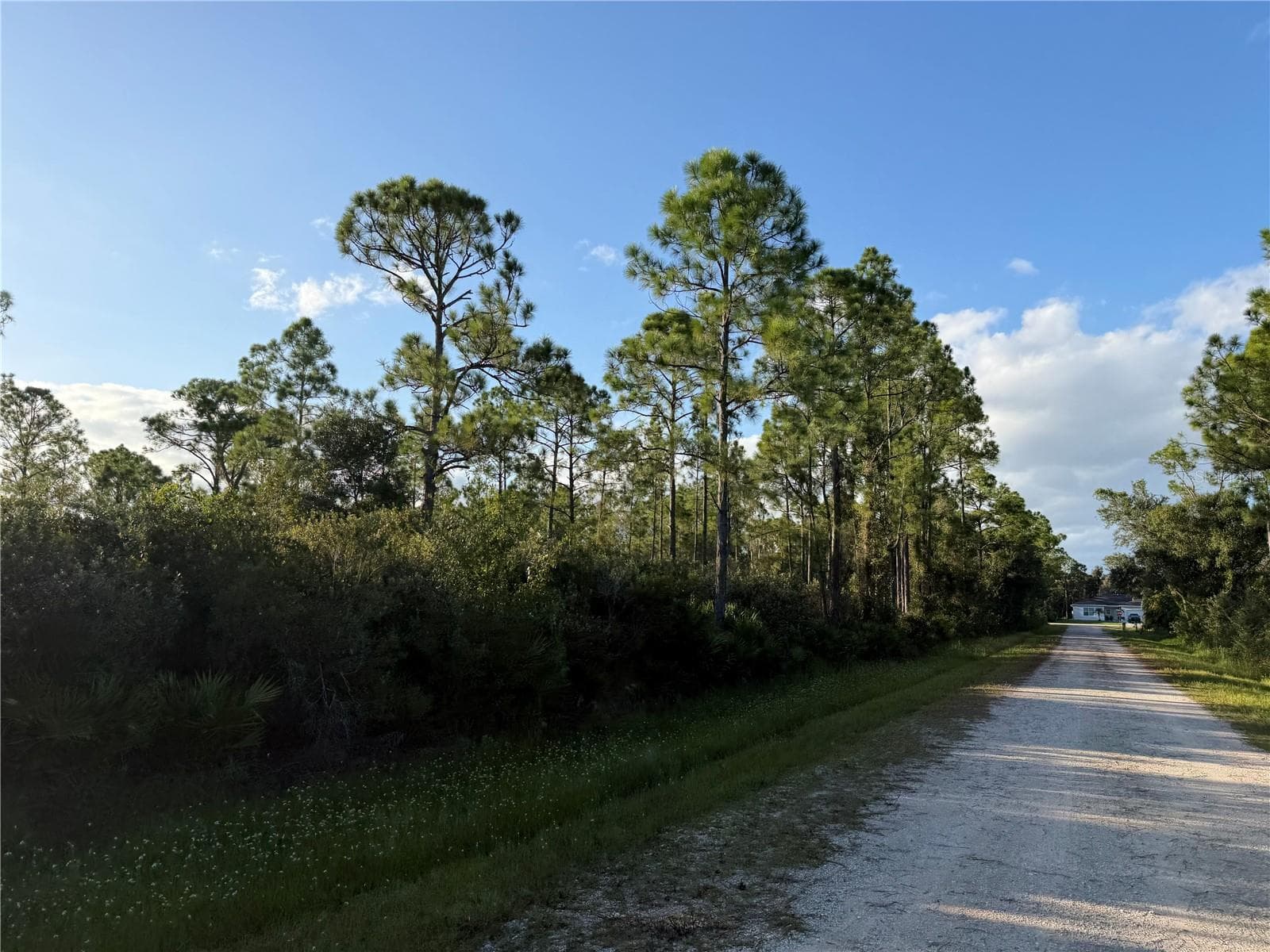 Land at 12025 DAHLIA ST, PUNTA GORDA, photo 2 of 3