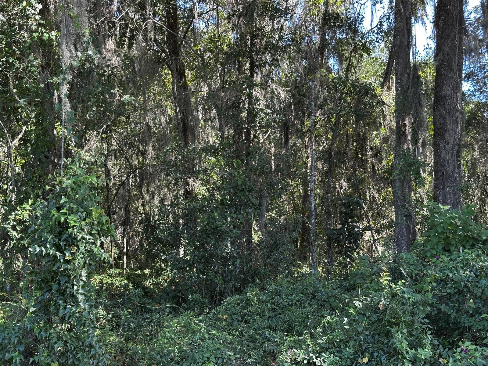 Land at 0000 NE WALDO RD, GAINESVILLE, photo 13 of 14