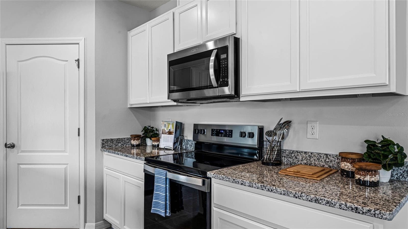 Single Family Residence at 9855 BRAVE BUCK AVE, LAND O LAKES, photo 9 of 25