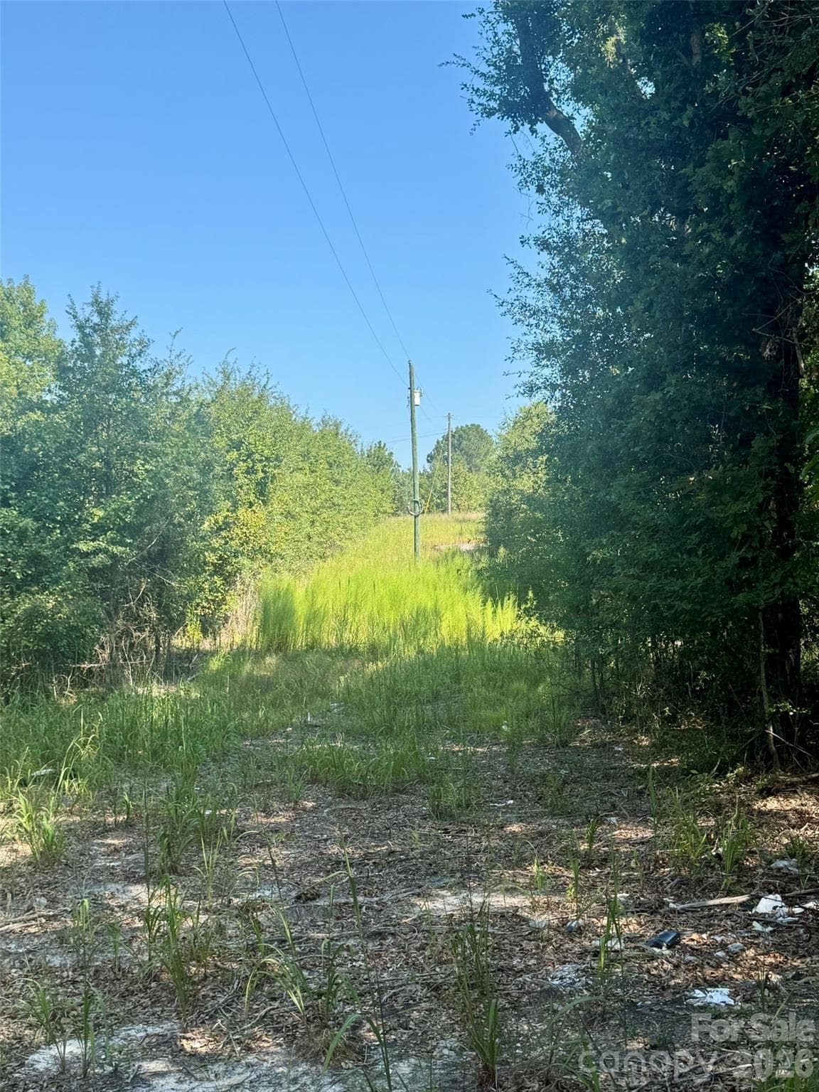 0000 Newman Lane
