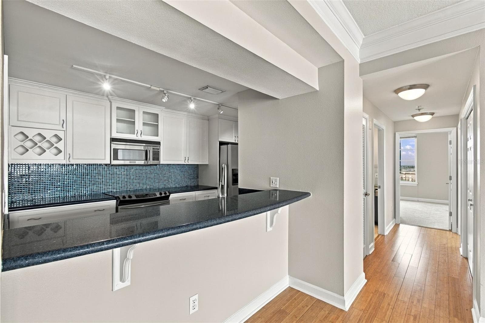 Condominium at 345 BAYSHORE BLVD #1702, TAMPA, photo 7 of 40