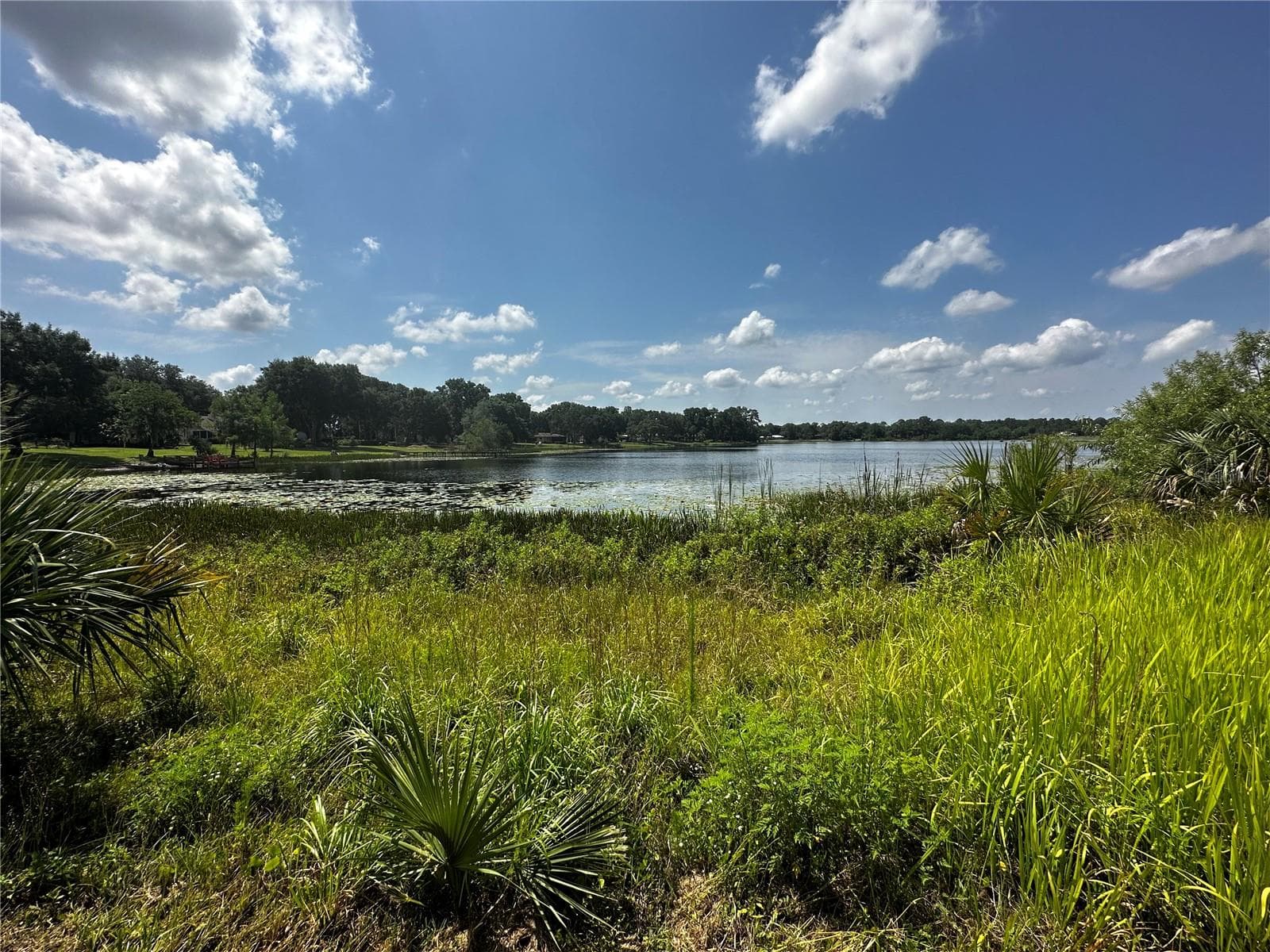 Land at COUNTY ROAD 450, UMATILLA, photo 4 of 23