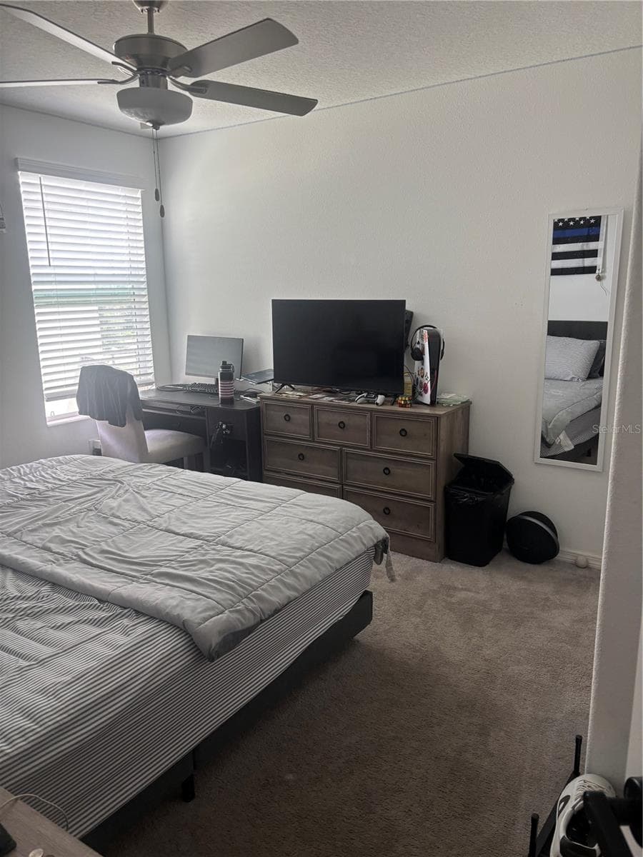 Single Family Residence at 6417 TEN ACRE CT, ZEPHYRHILLS, photo 19 of 50
