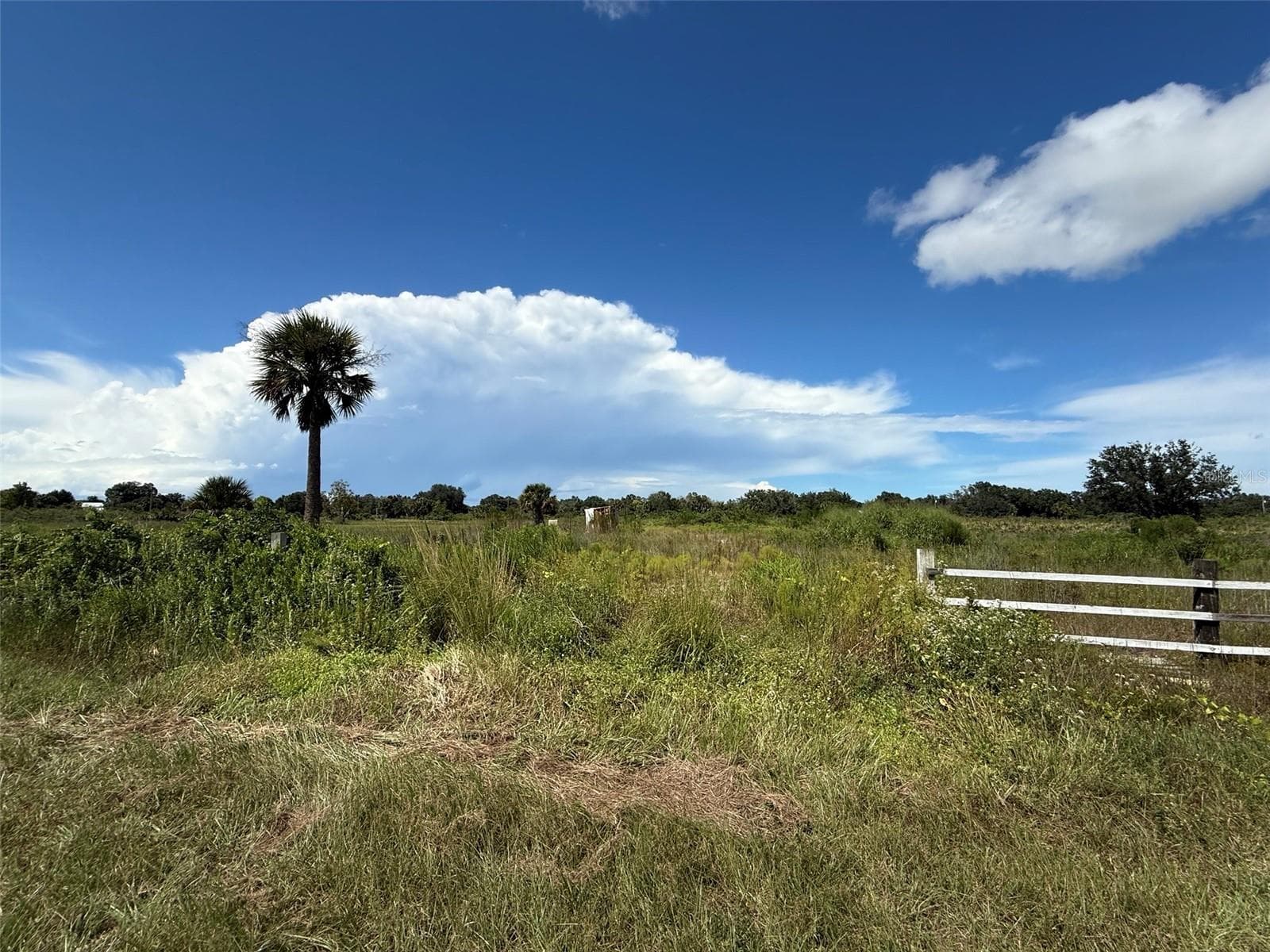 Land at 18073 NW 276TH ST, OKEECHOBEE, photo 3 of 6