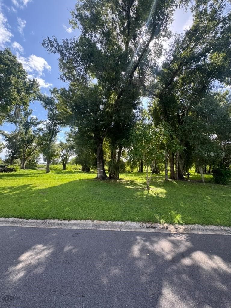 Land at 1151 SW MELODY DR, ARCADIA, photo 2 of 3