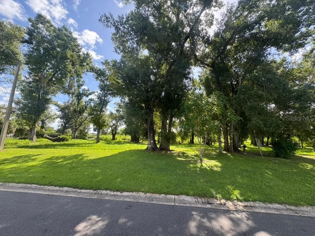 Land at 1163 SW MELODY DR, ARCADIA, photo 4 of 5