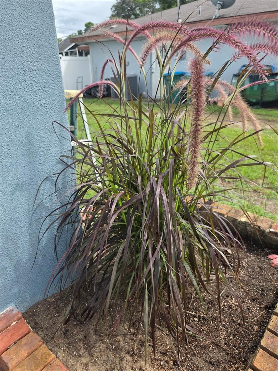 Single Family Residence at 1535 URBANA AVENUE, DELTONA, photo 27 of 48