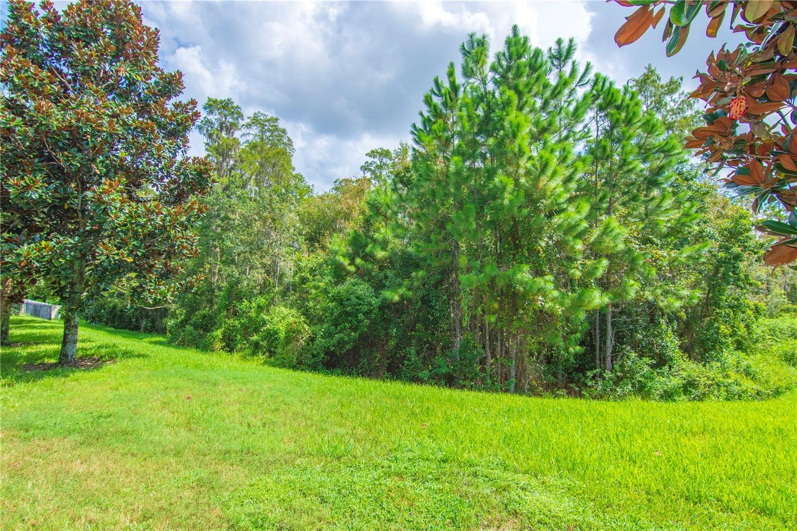 Single Family Residence at 8091 BOWERY DR, WINTER GARDEN, photo 36 of 36