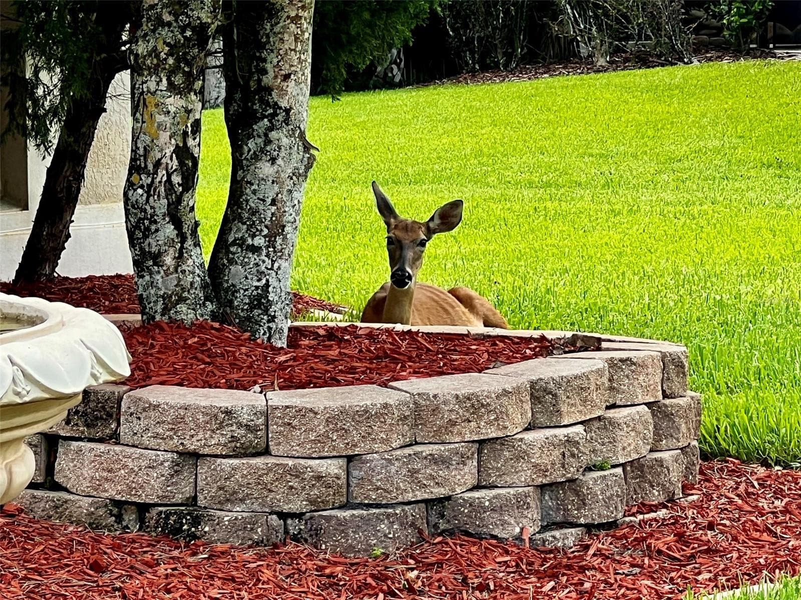 Visitor - 1731 DOGWOOD FOREST WAY, LAKE MARY