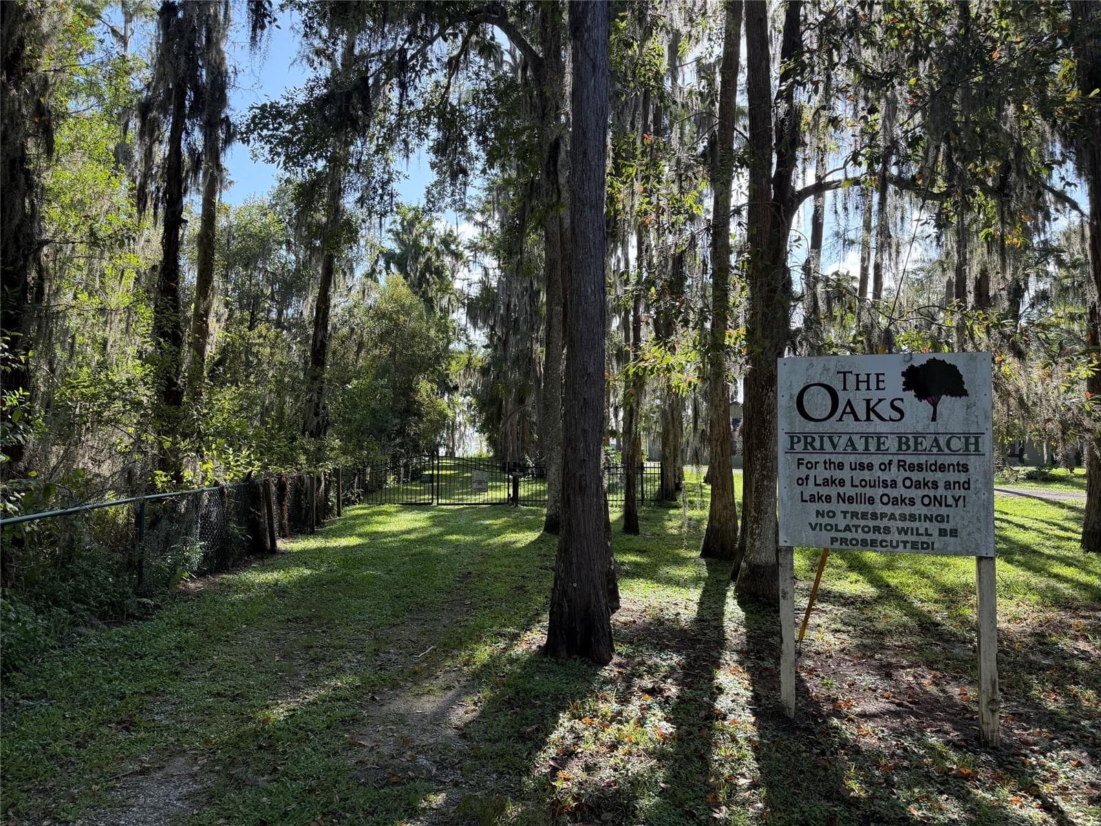 LAKE ACCESS - 9021 MOSSY OAK LN, CLERMONT