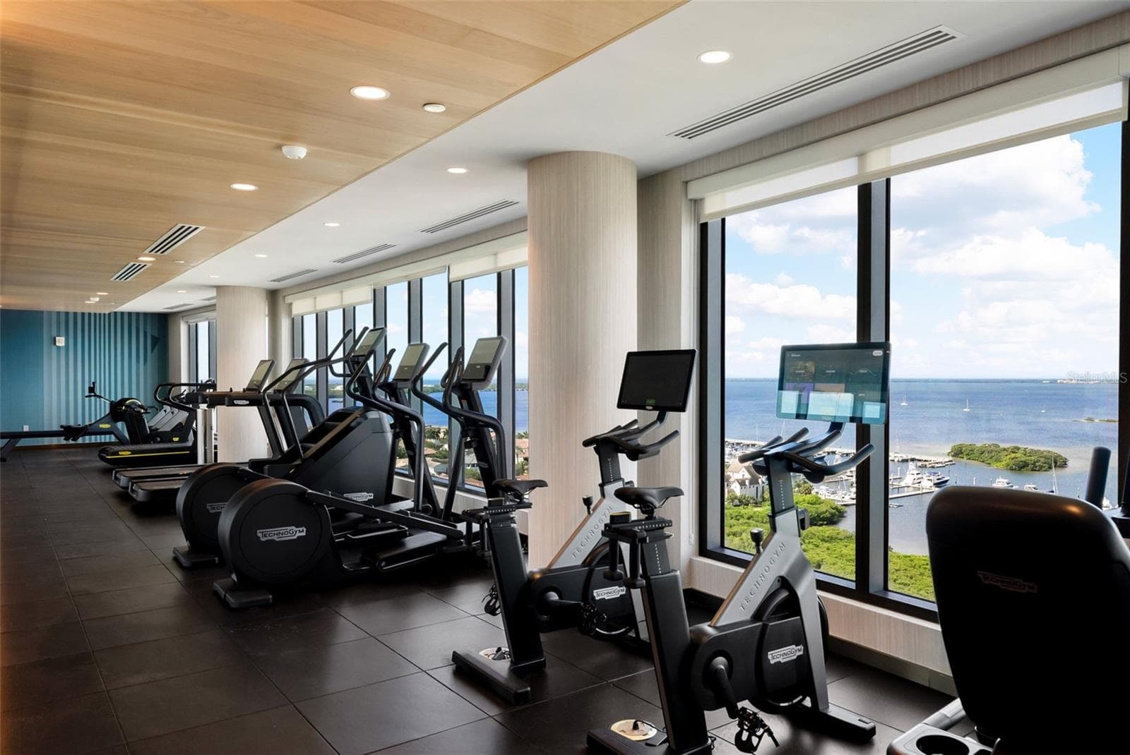 Fitness Center - 17th Floor; West Side - 5713 BOWEN DANIEL DR #1504, TAMPA