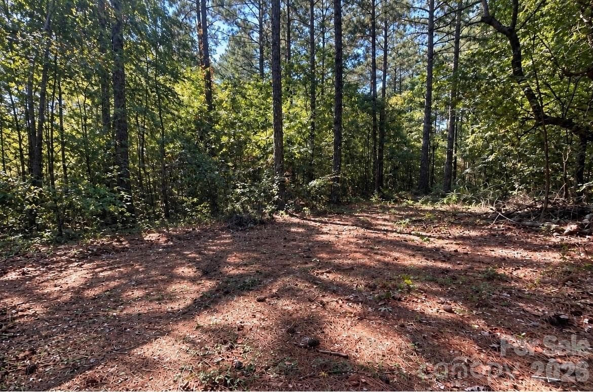 partial clearing 2 - 1216 Ross Road, Blackstock