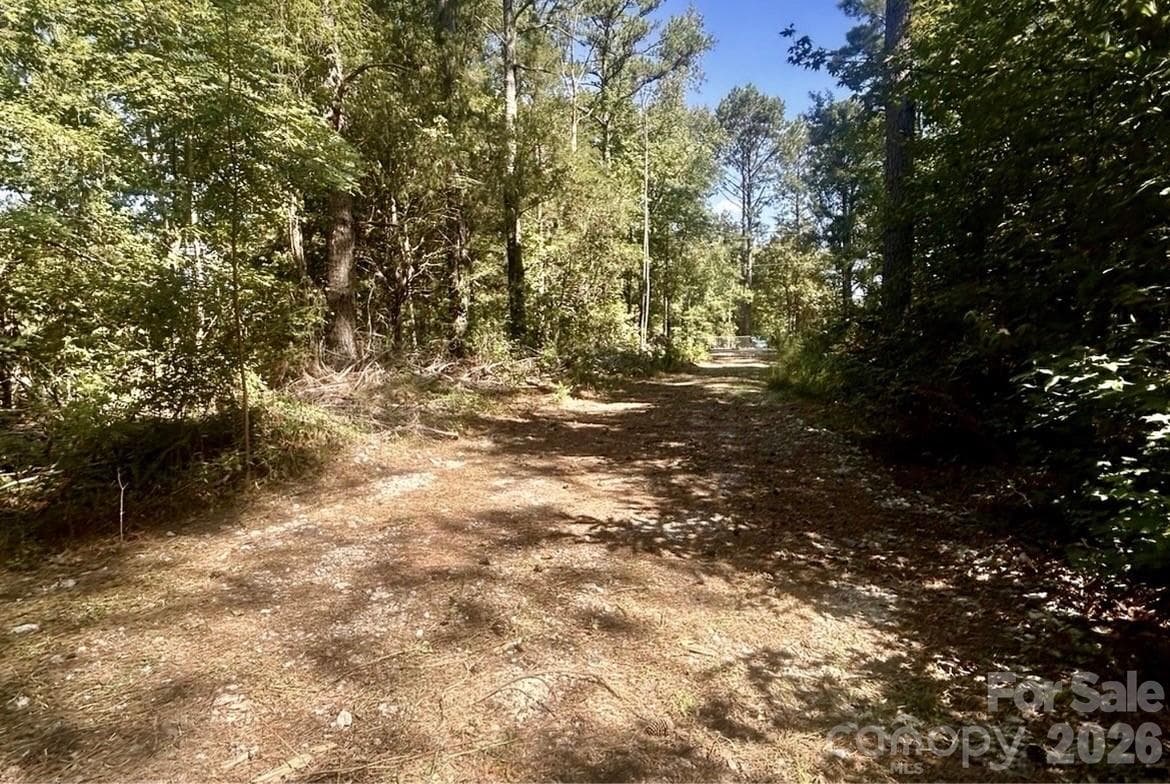 partial clearing 3 - 1216 Ross Road, Blackstock