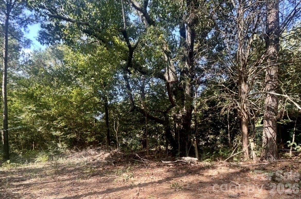 partial clearing 4 - 1216 Ross Road, Blackstock