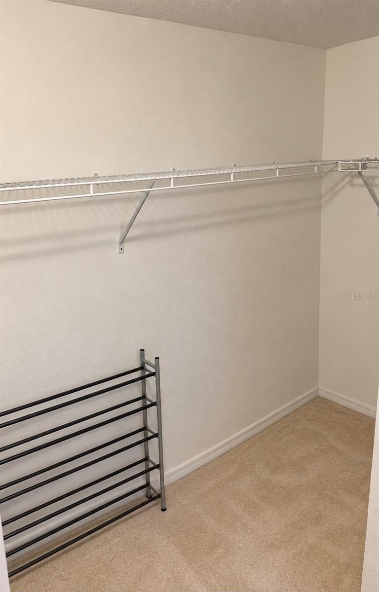 Master bedroom closet - 9412 TRUMPET VINE LOOP, TRINITY