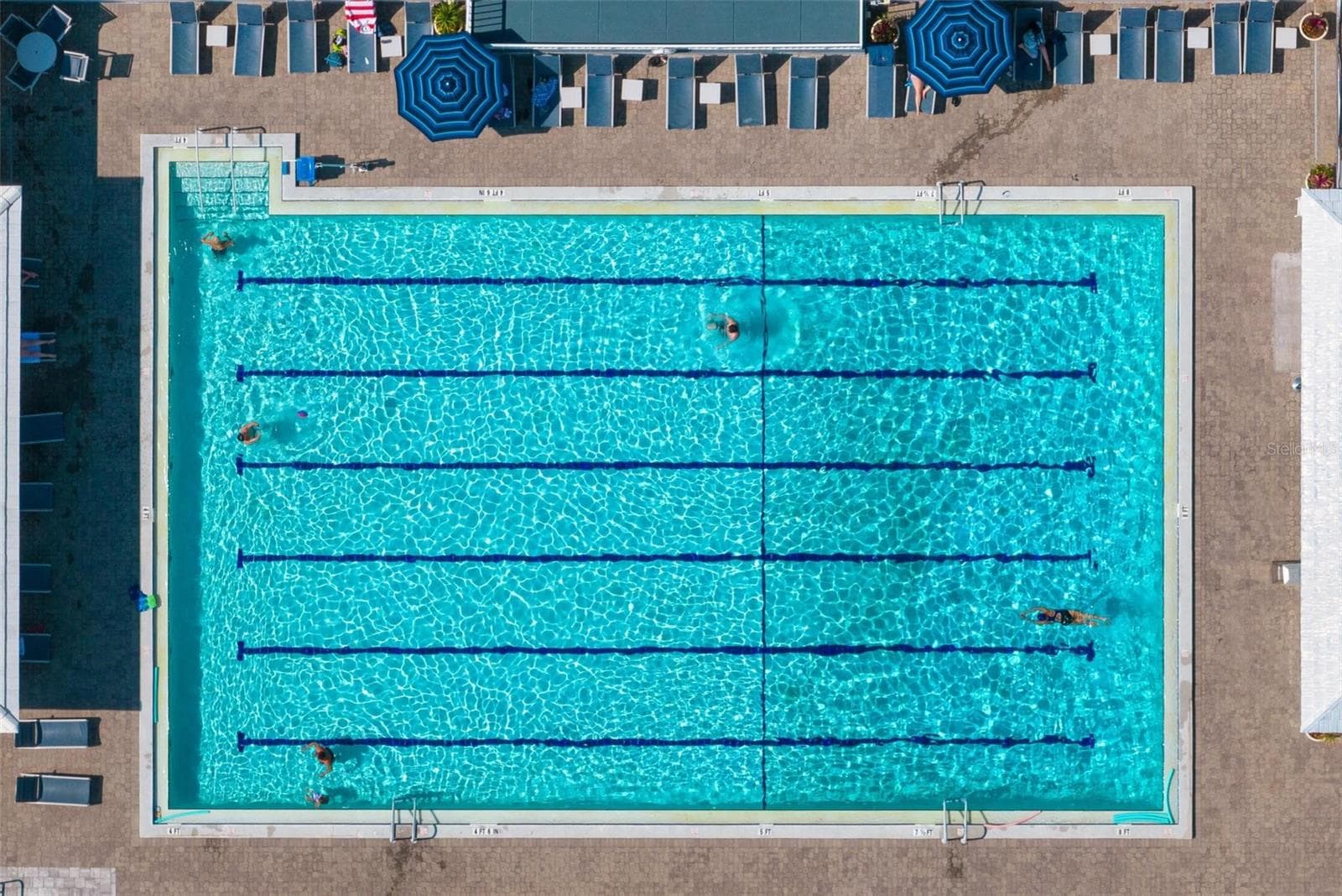 Pool - 512 WARWICK DR, VENICE