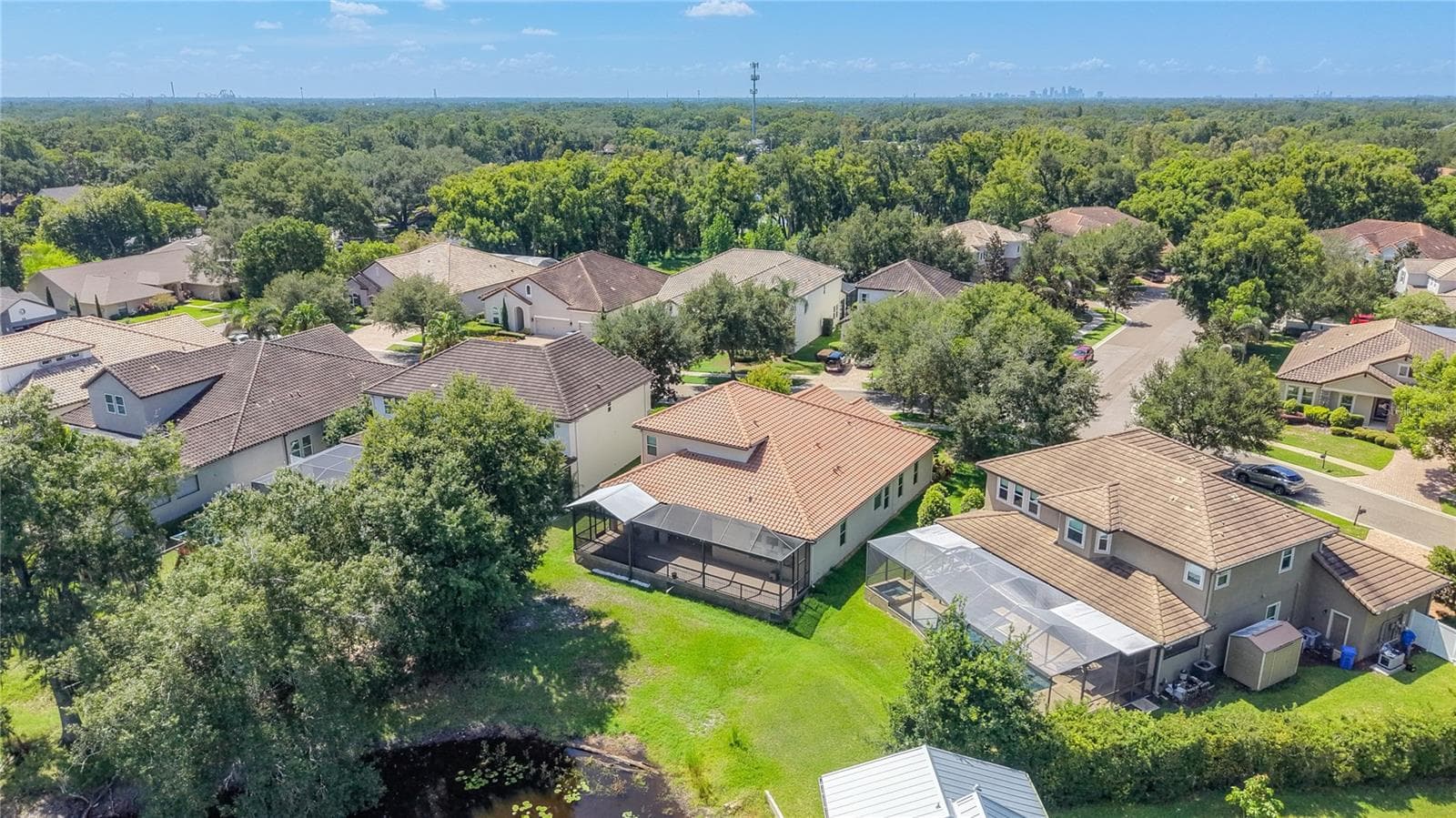 Single Family Residence at 1107 ISOBEL RESERVE LN, TAMPA, photo 82 of 86