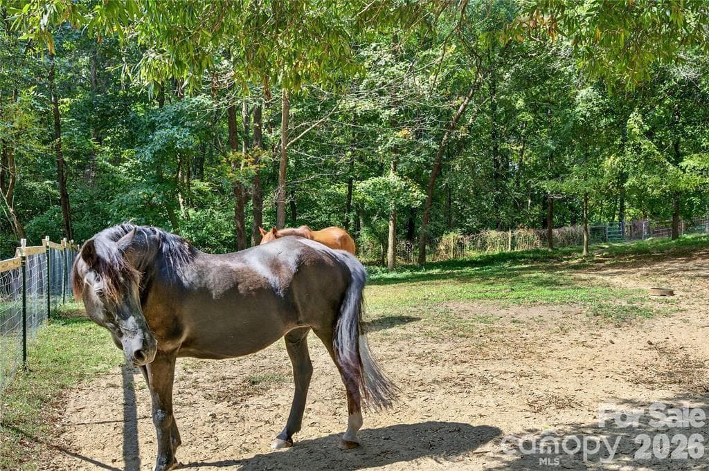 Farm at 205 Airport Road, Wesley Chapel, photo 4 of 5