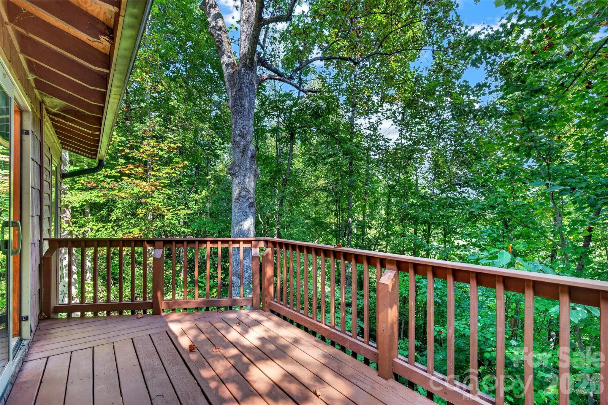 This is the opposite side- feels like your in a tree house - 9 Good Neighbor Ridge, Weaverville