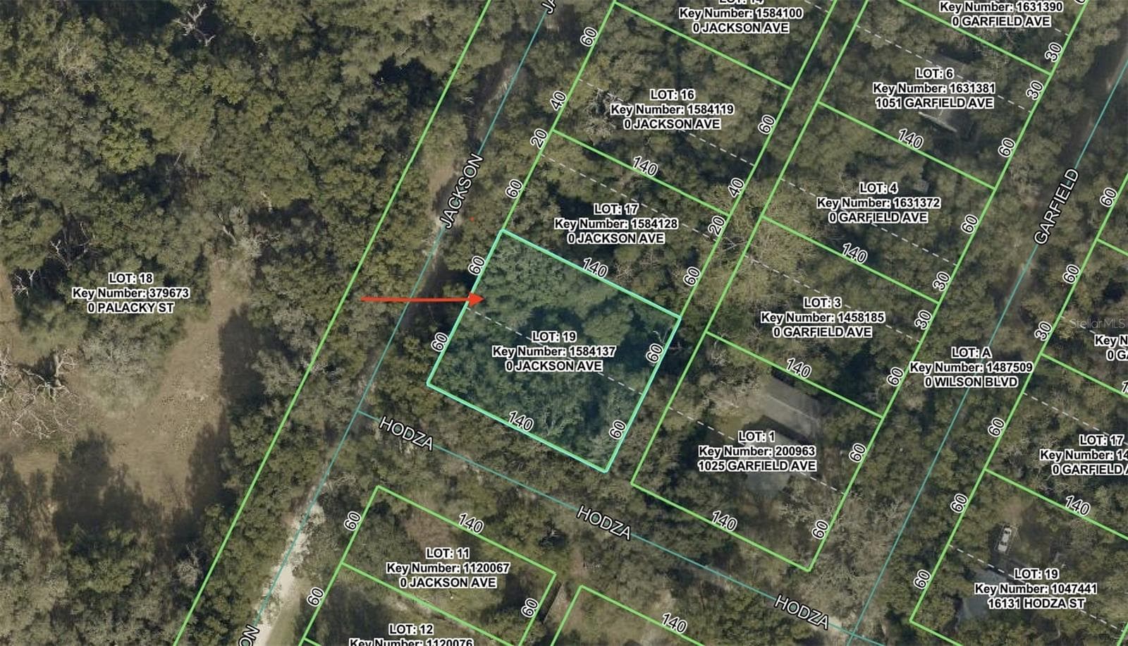 Land at 0 JACKSON AVE, BROOKSVILLE, photo 3 of 3