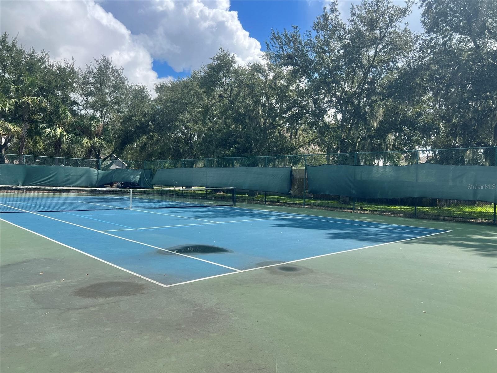 Tennis Court - 32215 FISH HOOK LOOP, WESLEY CHAPEL