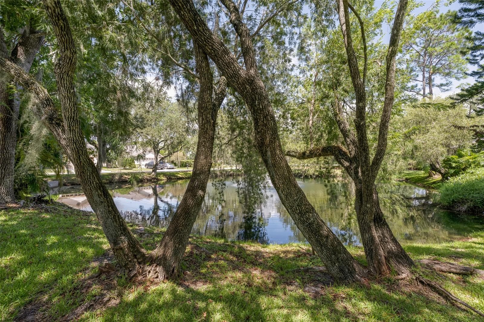 Single Family Residence at 3559 SYLVAN EDGE DR, PALM HARBOR, photo 40 of 45