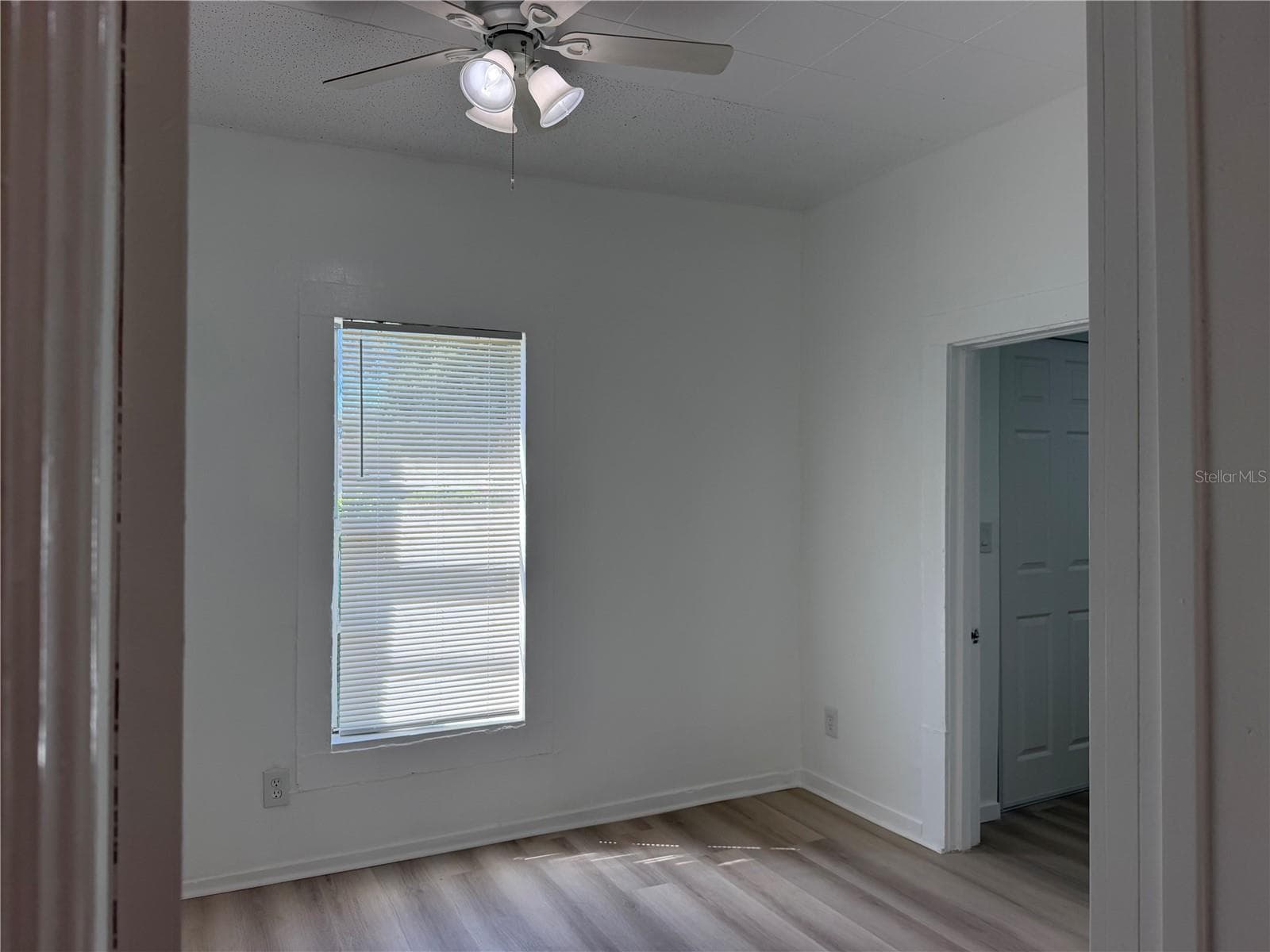 Primary Bedroom - 8316 N KLONDYKE ST, TAMPA
