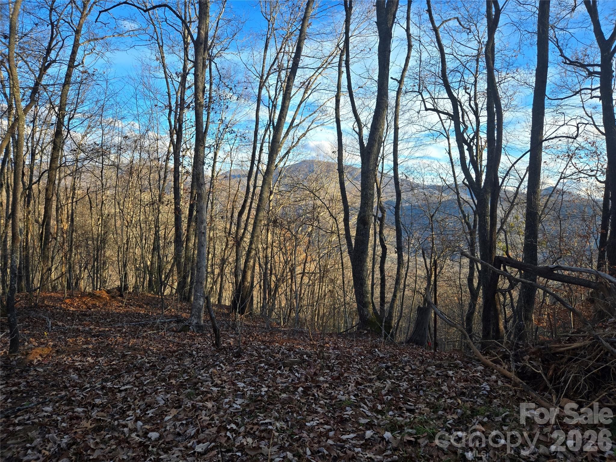 0000 Brasstown Road
