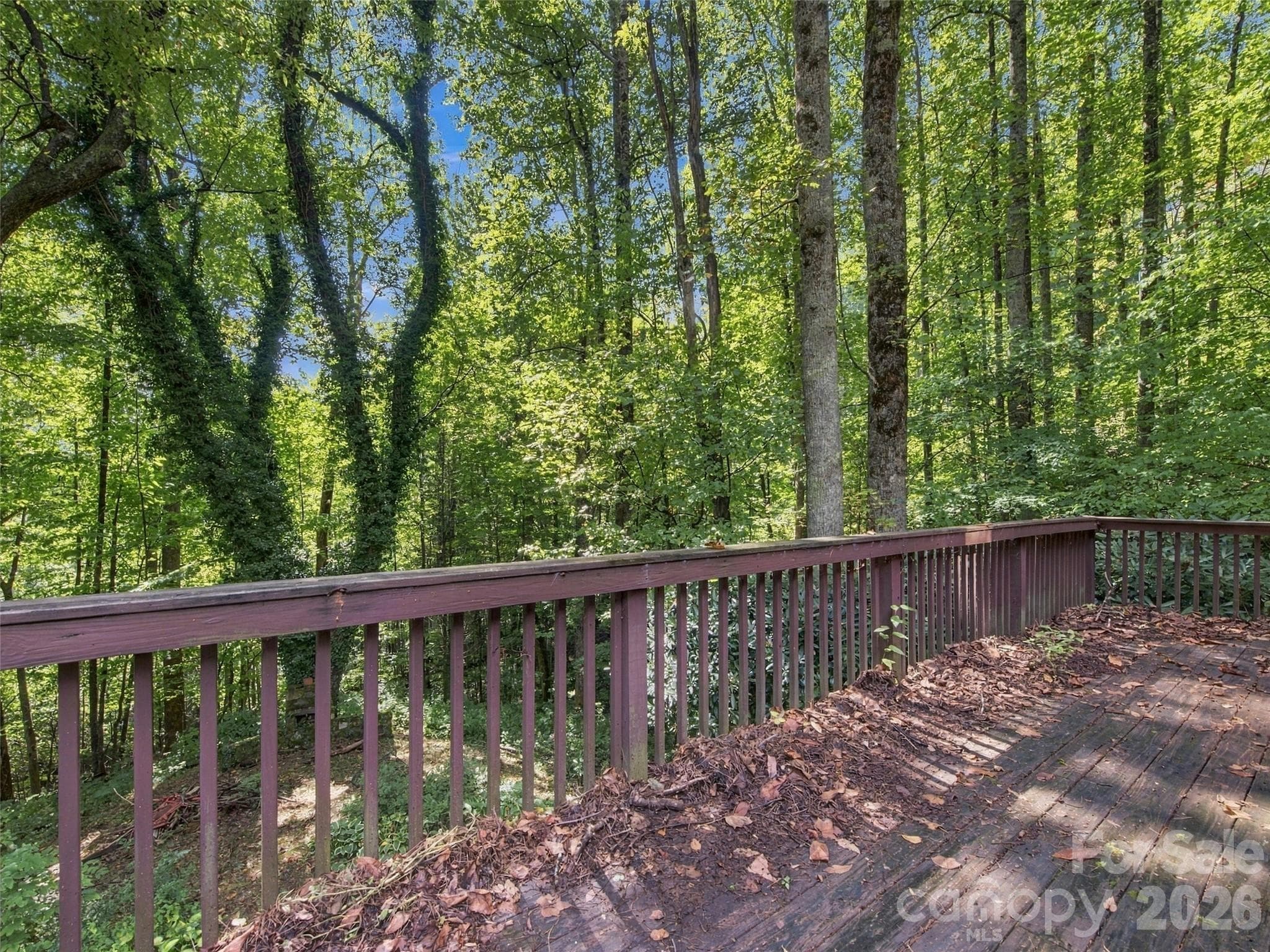 Single Family Residence at 151 Tiger Lily Lane, Waynesville, photo 6 of 26