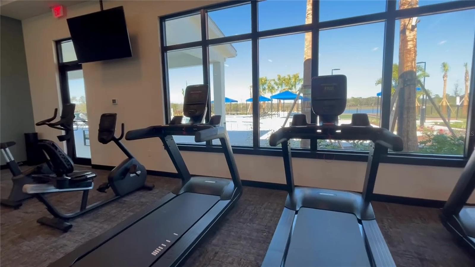 View from Fitness Room - 14449 HAMMOCK OAK ST, PARRISH