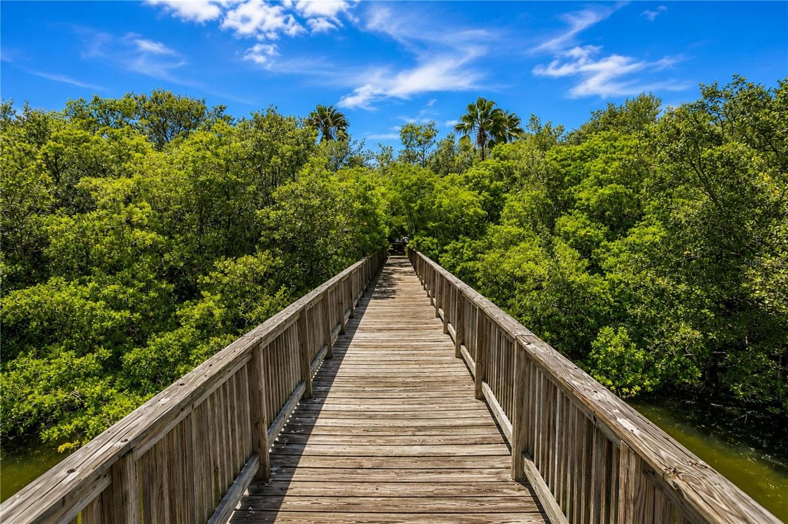 Townhouse at 3018 BAYSHORE POINTE DR, TAMPA, photo 56 of 57