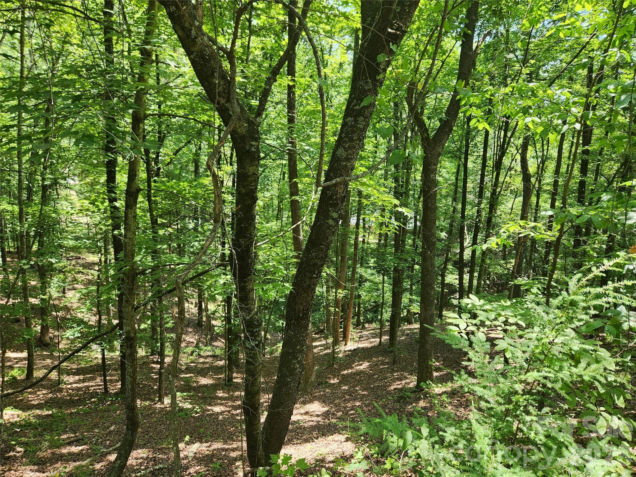 Lot at Lake Lure, photo 4 of 39