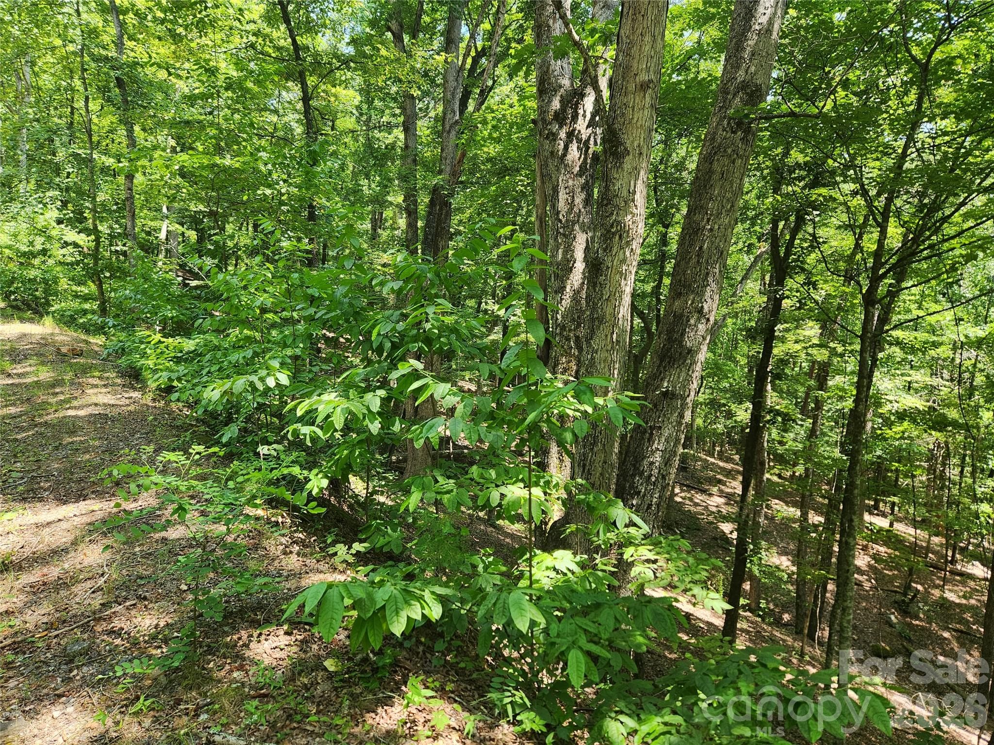 Lot at Lake Lure, photo 8 of 39