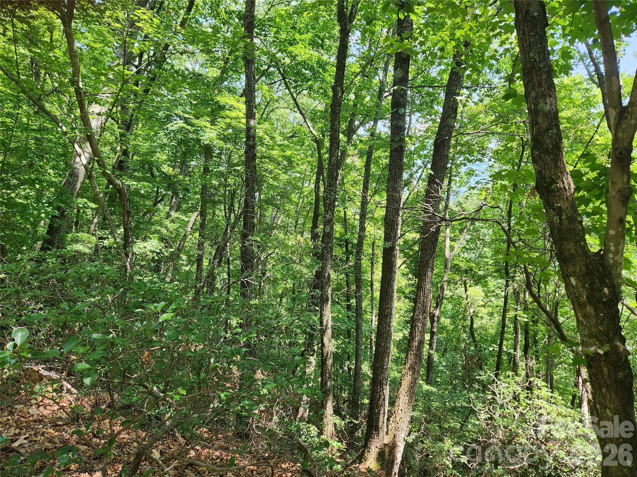 Lot at Lake Lure, photo 4 of 38