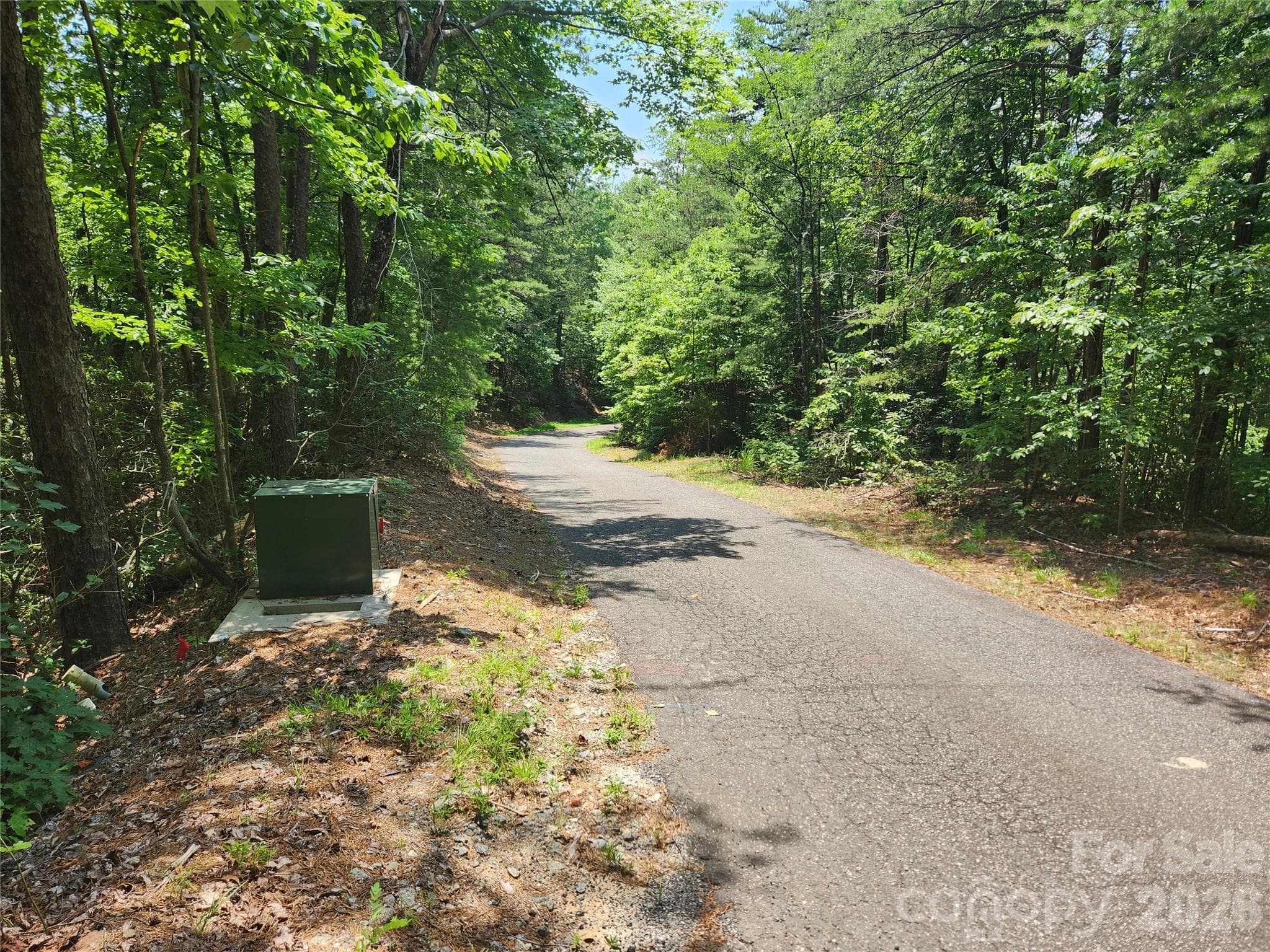 Lot at Lake Lure, photo 8 of 38