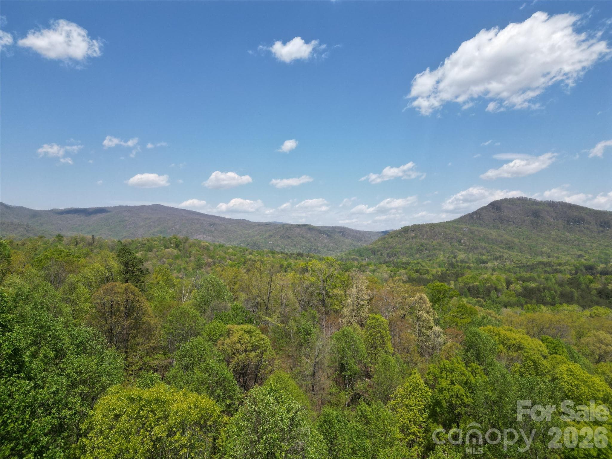 Lot at Lake Lure, photo 2 of 51