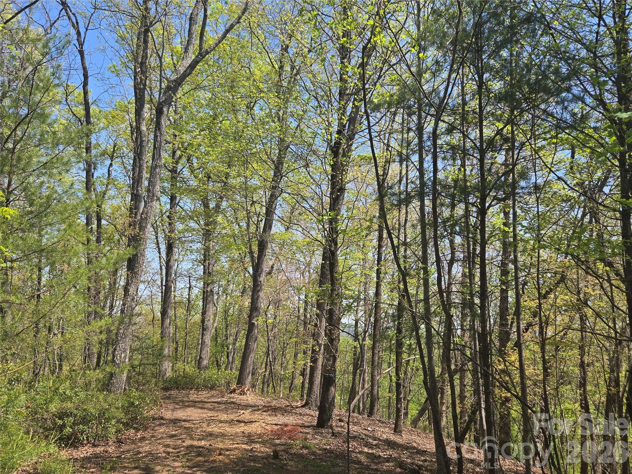Lot at Lake Lure, photo 6 of 51