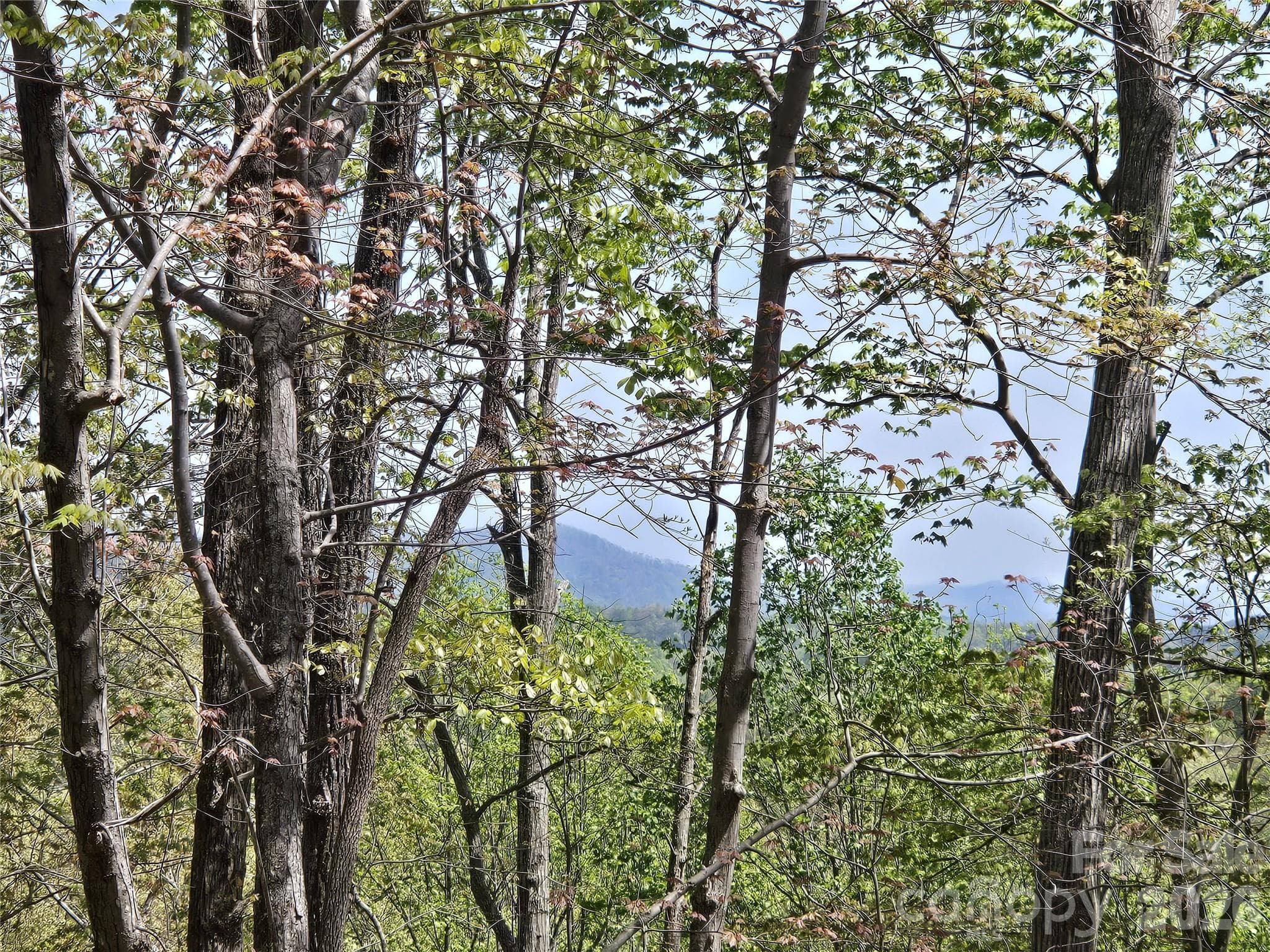 Lot at Lake Lure, photo 8 of 51