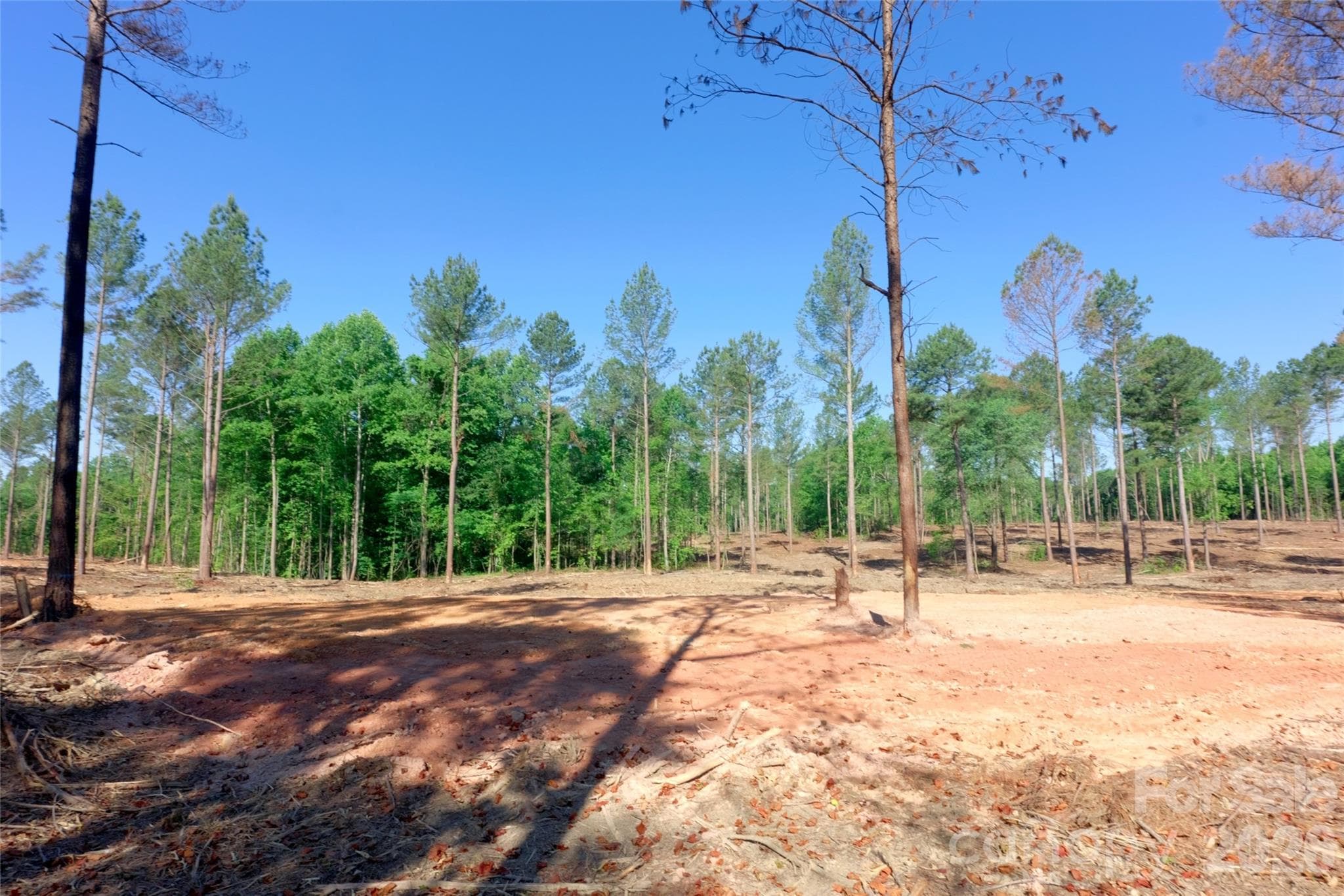 Acreage at 0 Carson Road, Cleveland, photo 6 of 17