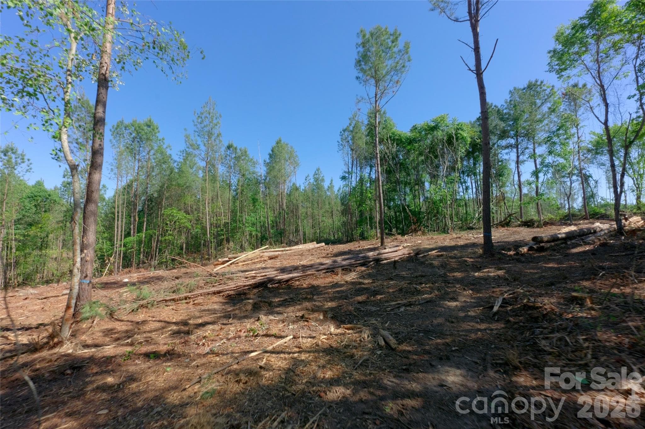 Acreage at 0 Carson Road, Cleveland, photo 8 of 17